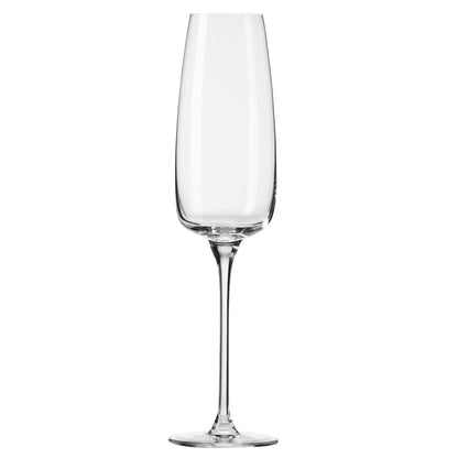Modern Glassware Collection