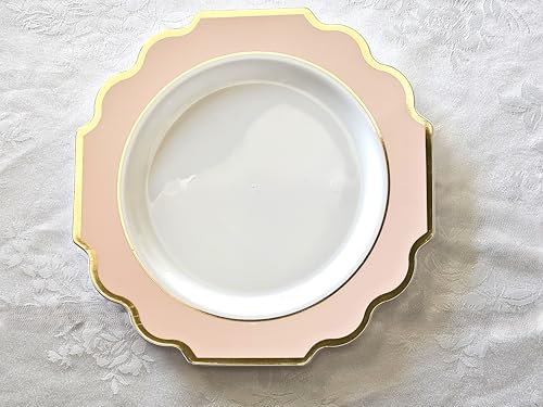 Disposable Party Dinnerware Set