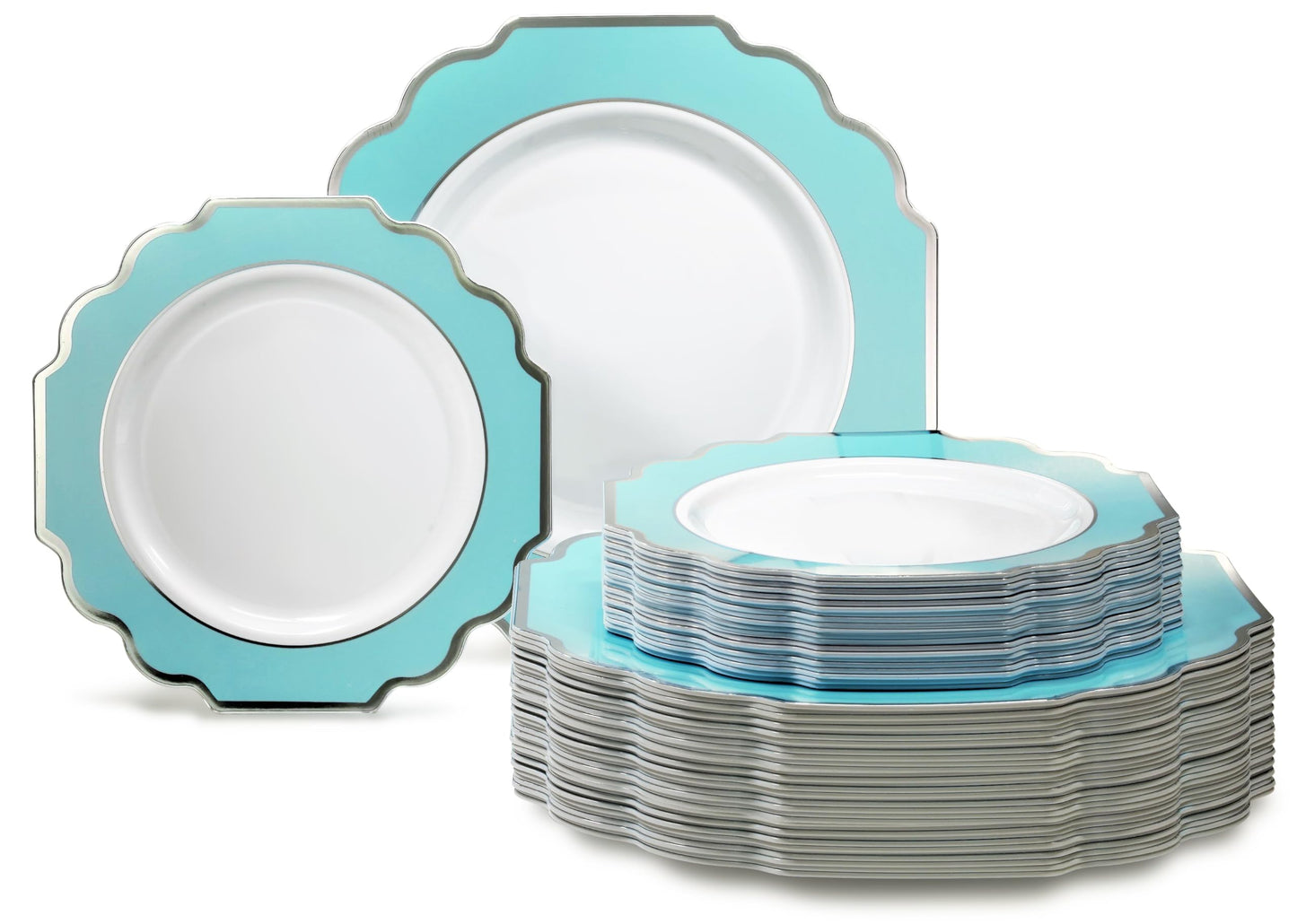 Disposable Party Dinnerware Set
