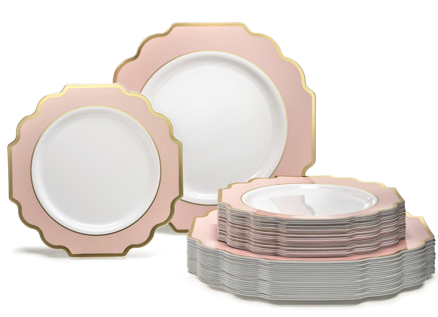 Disposable Party Dinnerware Set
