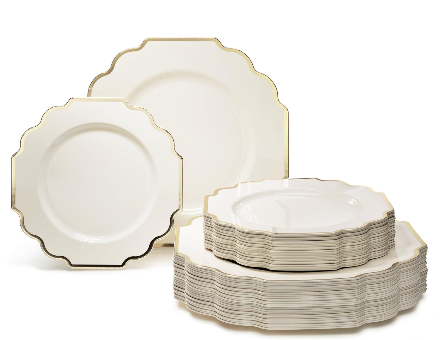 Disposable Party Dinnerware Set