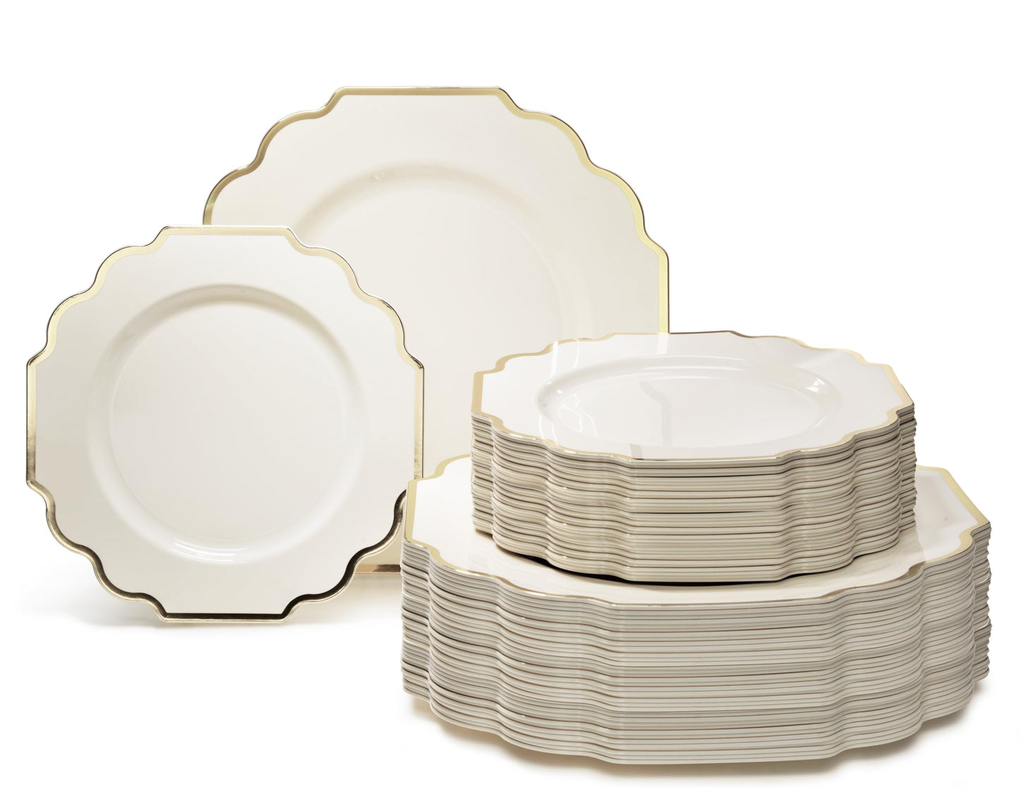 Disposable Party Dinnerware Set