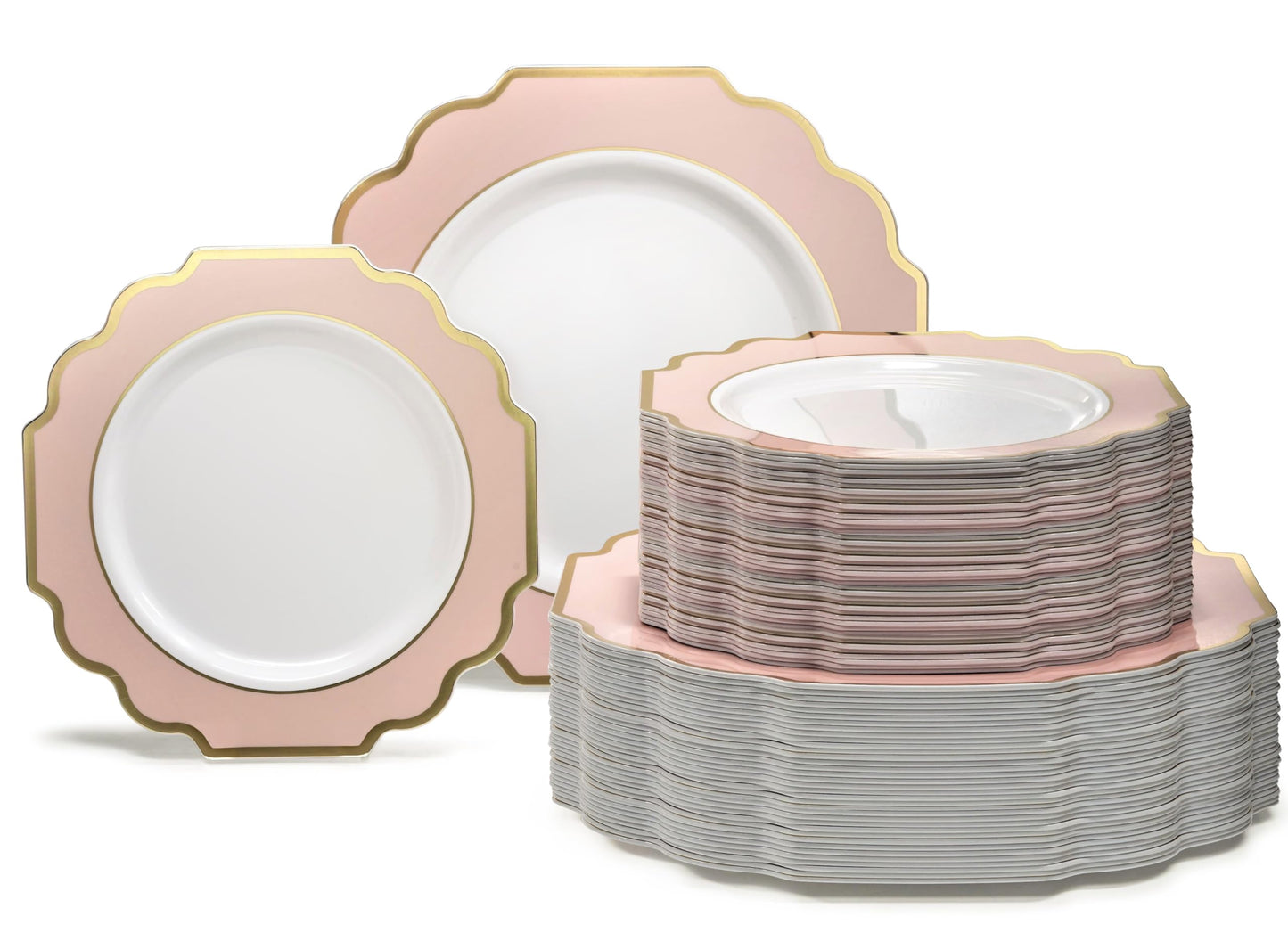 Disposable Party Dinnerware Set