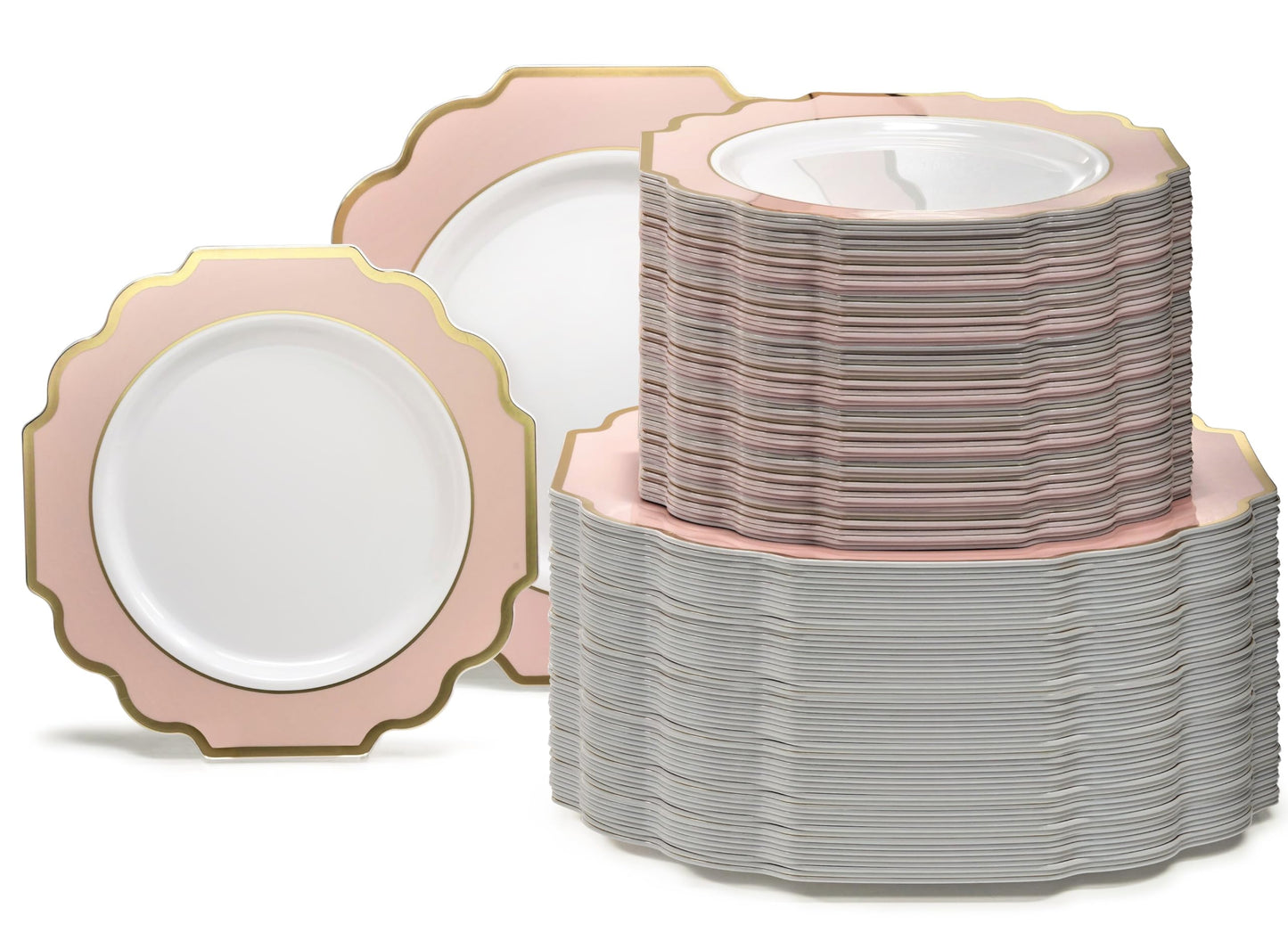 Disposable Party Dinnerware Set